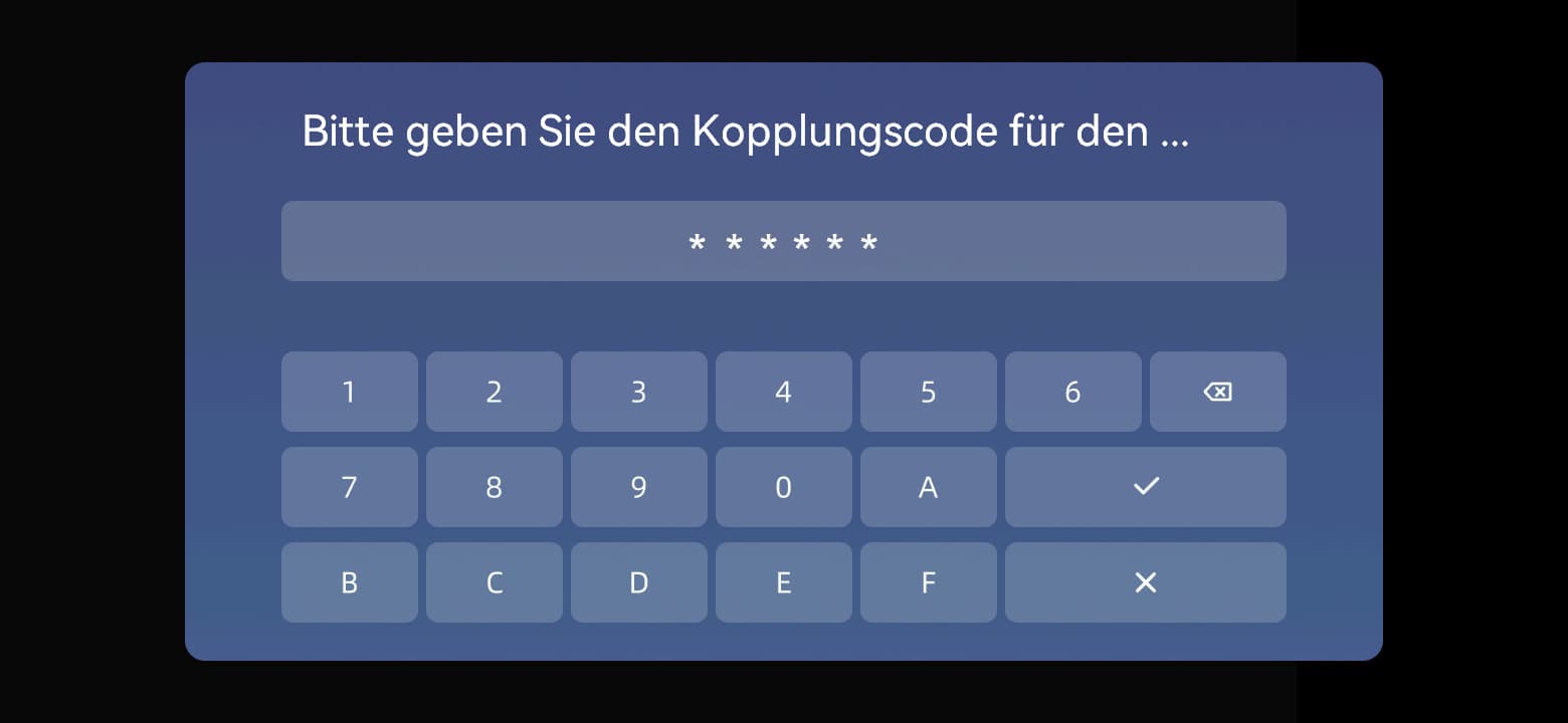 Geben Sie den sechscharakterigen Code des Sensors ein und drücken Sie ✓